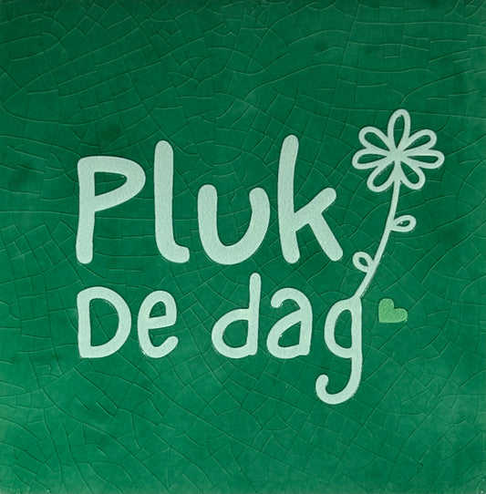 Quote tegeltje 'pluk de dag' hardgroen/lichtgroen(mint)