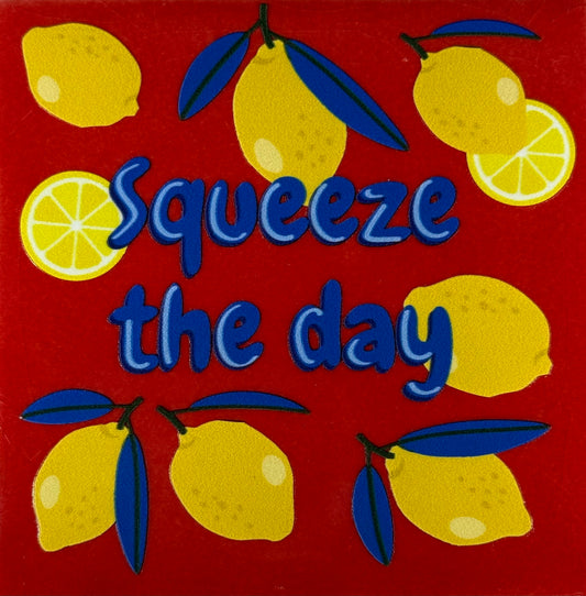 Quote tegeltje 'squeeze the day' rood/multicolor