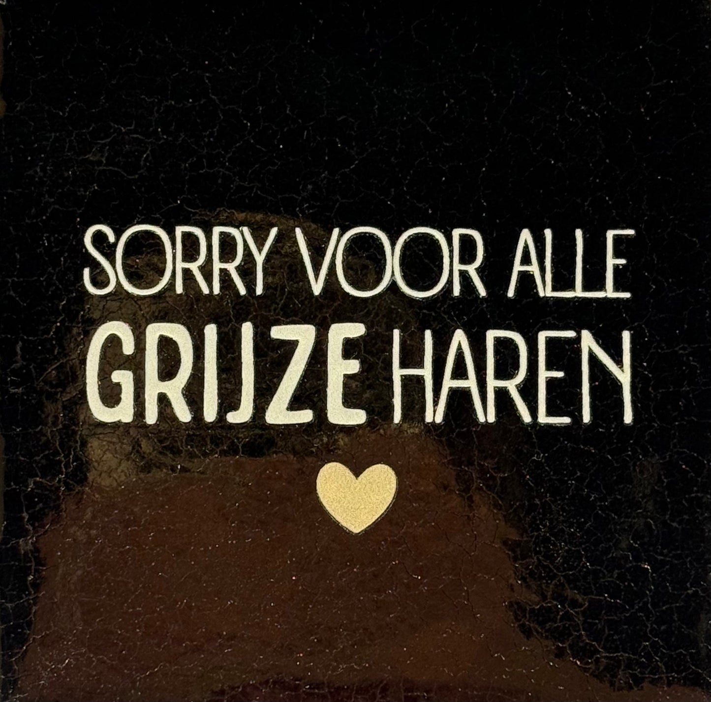 Quote tegeltje 'sorry voor alle grijze haren' goud/beige(lichtbruin)