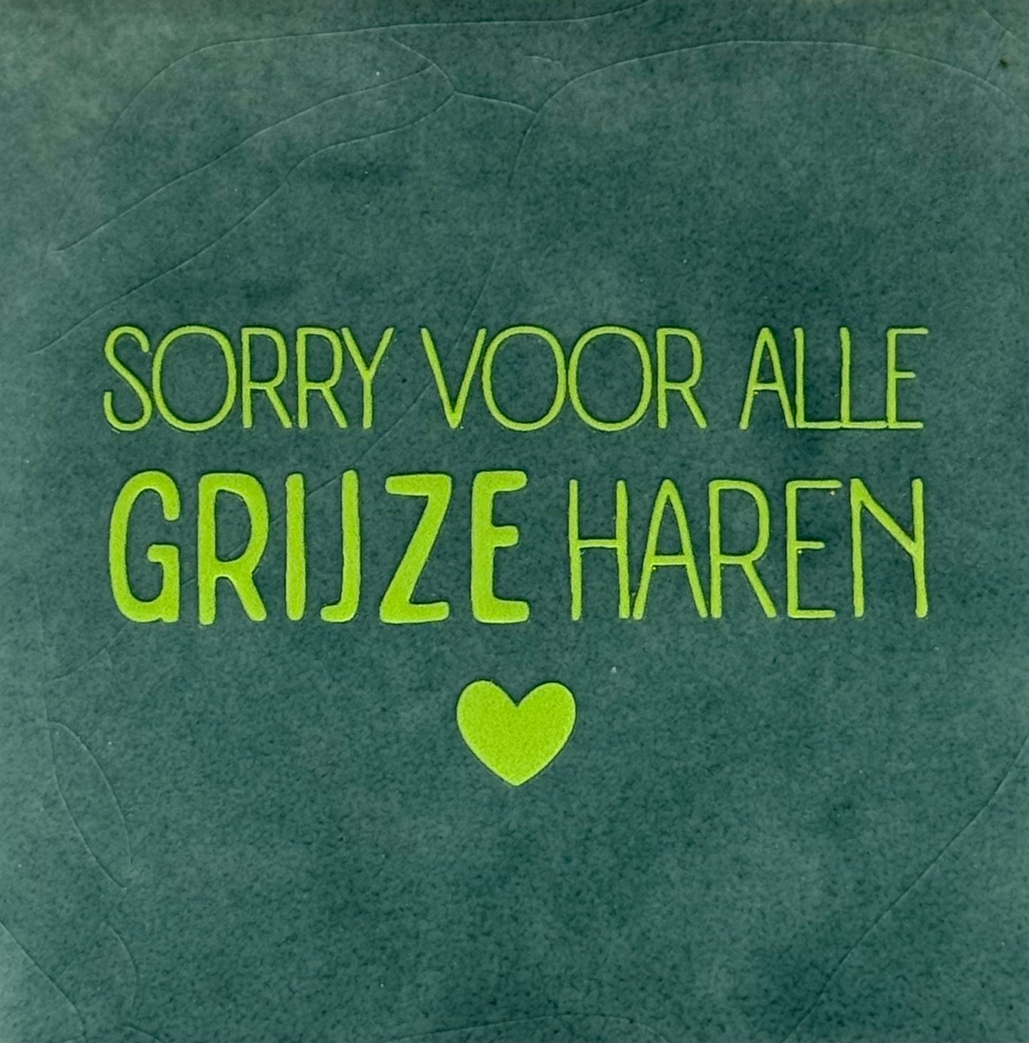 Quote tegeltje 'sorry voor alle grijze haren' zeegroen/lime