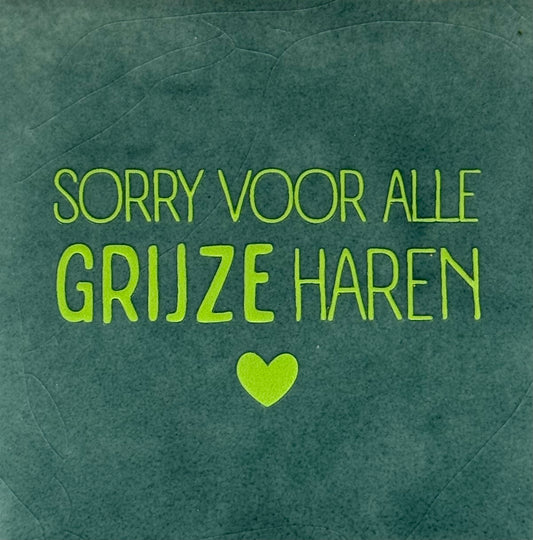 Quote tegeltje 'sorry voor alle grijze haren' zeegroen/lime