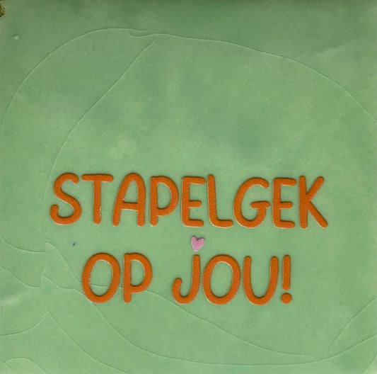 Quote tegeltje 'stapelgek op jou' mint/oranje(warmroze)