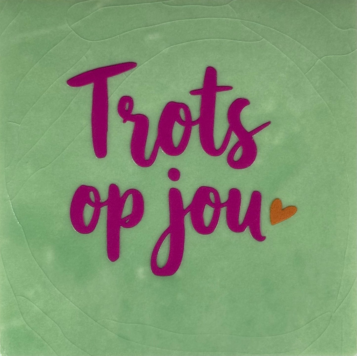 Quote tegeltje 'trots op jou' nieuw mint/knalroze(oranje)