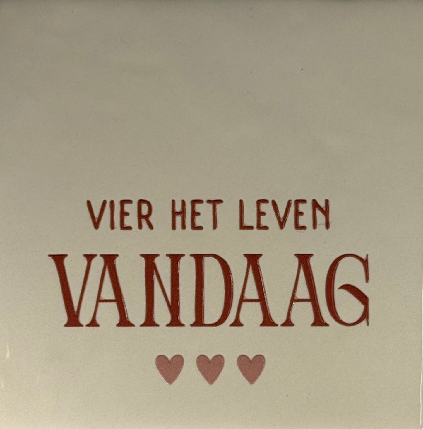 Quote tegeltje 'vier het leven vandaag' creme/taupe(nude roze)