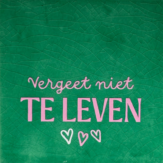 Quote tegeltje 'vergeet niet te leven' hardgroen/combi 2