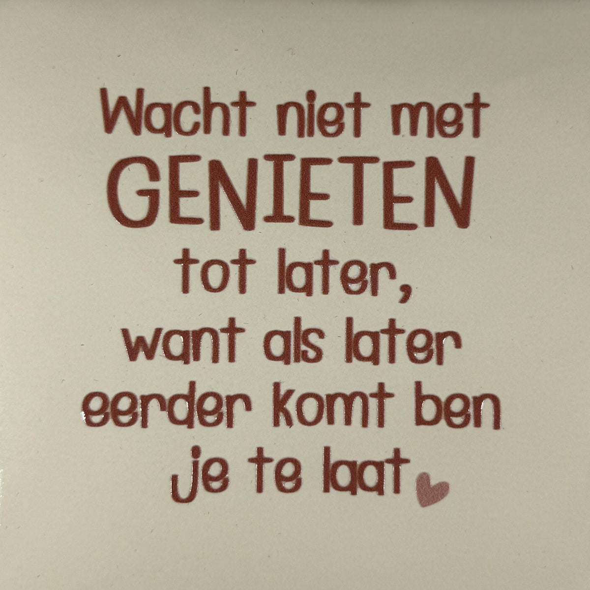 Quote tegeltje 'wacht niet met genieten..' creme/taupe(nude roze)