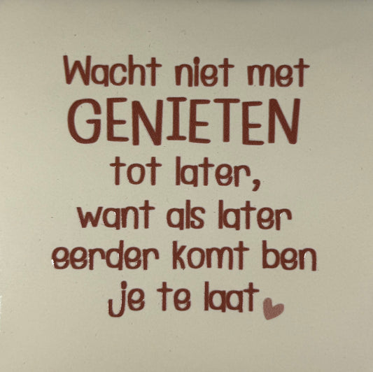 Quote tegeltje 'wacht niet met genieten..' creme/taupe(nude roze)