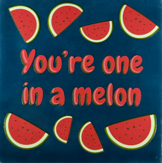 Quote tegeltje 'you're one in a melon' donkerblauw/multicolor