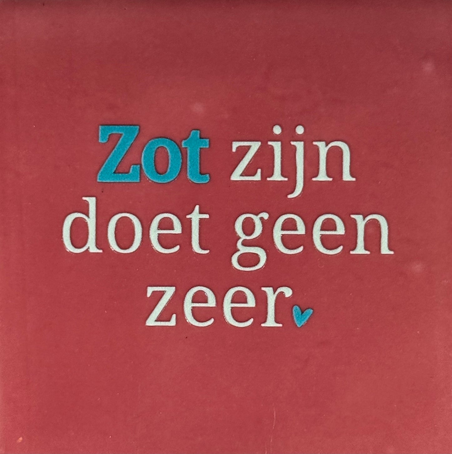 Quote tegeltje 'zot zijn doet geen zeer' roze/lichtgroen(turquoise)