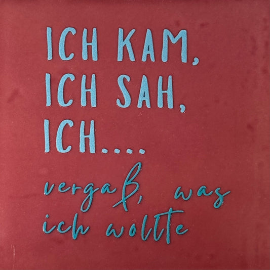 Quote tegeltje 'ich kam ich sah ich...' roze/warmblauw(turquoise)