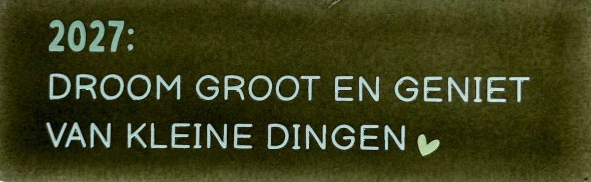 Quote tegeltje DO '2027: droom groot en geniet van de kleine dingen' olijf/kaki(lichtgroen)