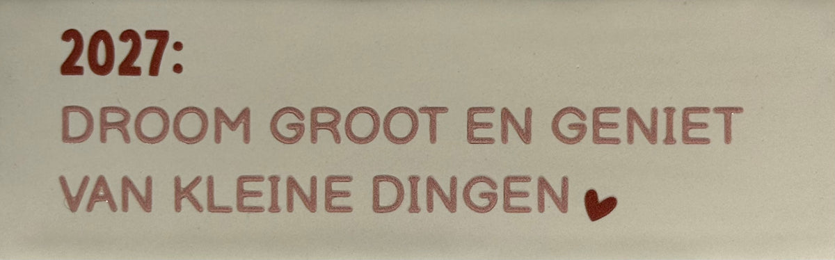 Quote tegeltje DO '2027: droom groot en geniet van de kleine dingen' creme/taupe(nuderoze)