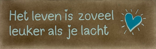 Quote tegeltje DO 'het leven is zoveel leuker als je lacht' taupe/lichtgroen(turquoise)