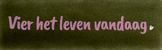 Quote tegeltje DO 'vier het leven vandaag' olijf/combi 2