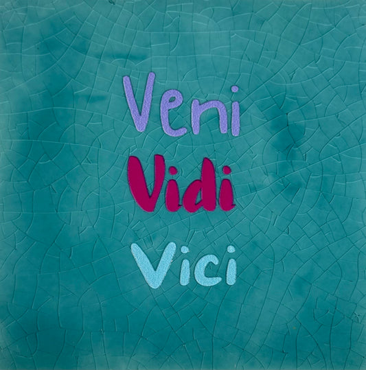 Quote tegeltje 'veni vidi vici' groen/lila (knalroze-warmblauw)